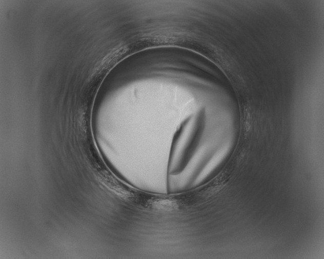 X0000076350258200610201808