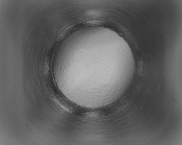 X0000076350259200610201808