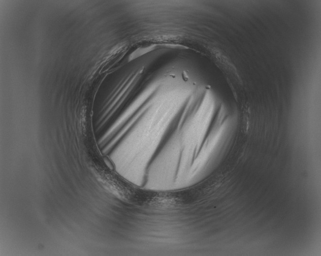 X0000076350260200610201808