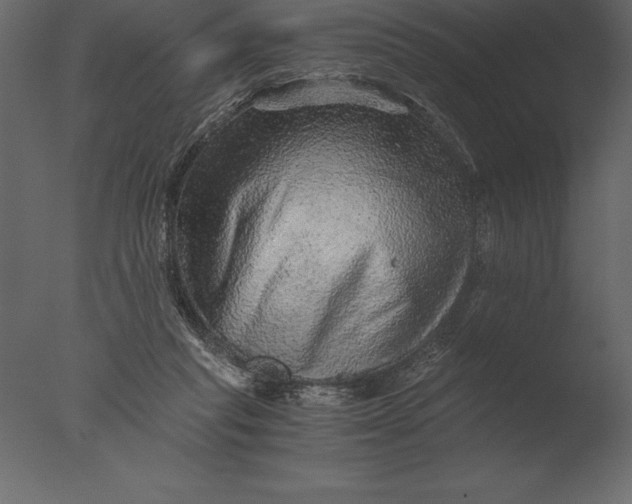 X0000076350261200610201808