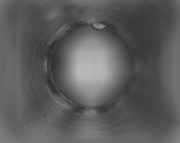 X0000076350262200610201808