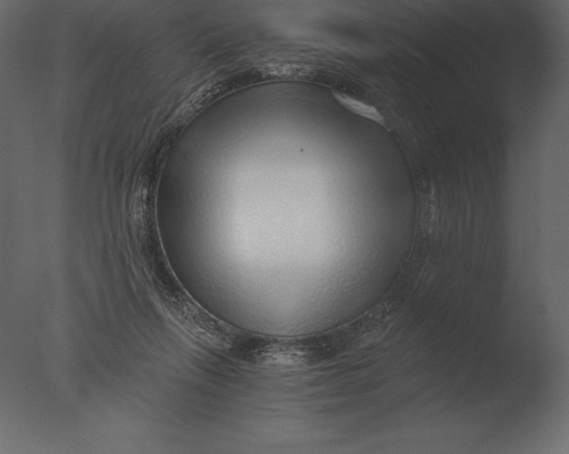 X0000076350263200610201808