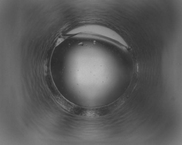 X0000076350264200610201808