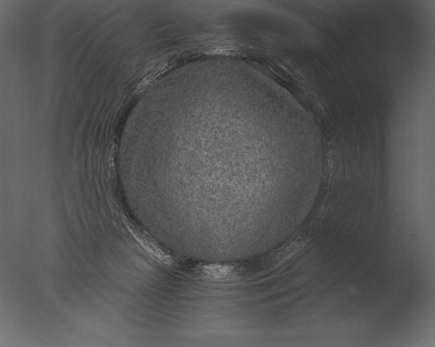 X0000076350265200610201808