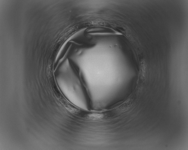 X0000076350266200610201808