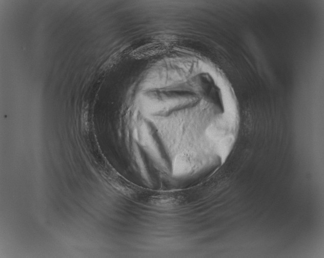 X0000076350267200610201808