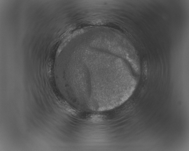 X0000076350268200610201808