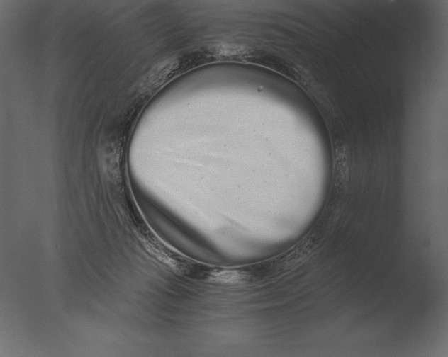 X0000076350269200610201808