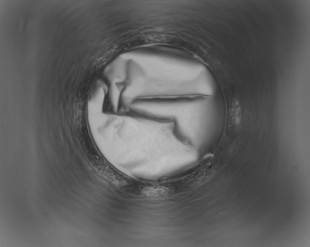 X0000076350271200610201808