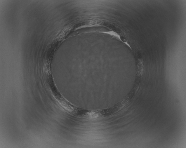 X0000076350272200610201808