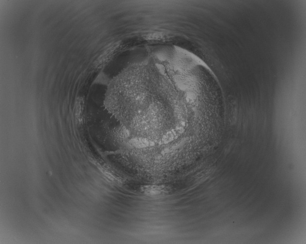 X0000076350273200610201808