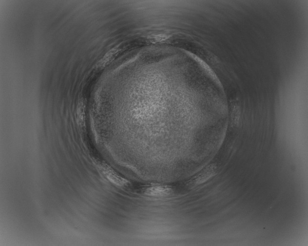 X0000076350274200610201808