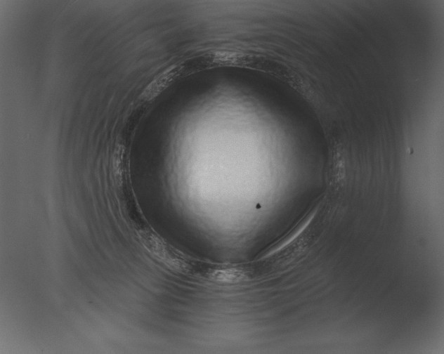 X0000076350275200610201808