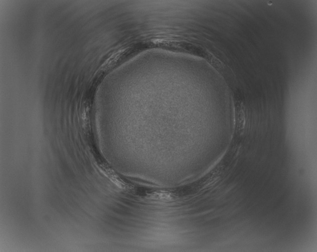 X0000076350276200610201808