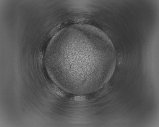 X0000076350279200610201808