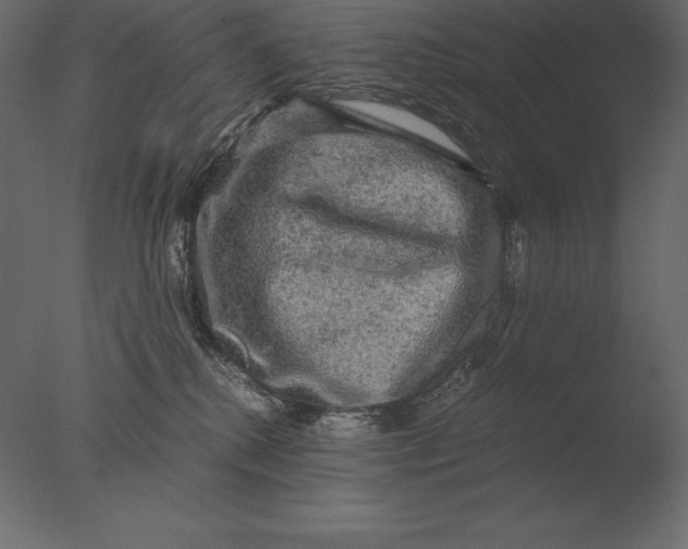 X0000076350280200610201808