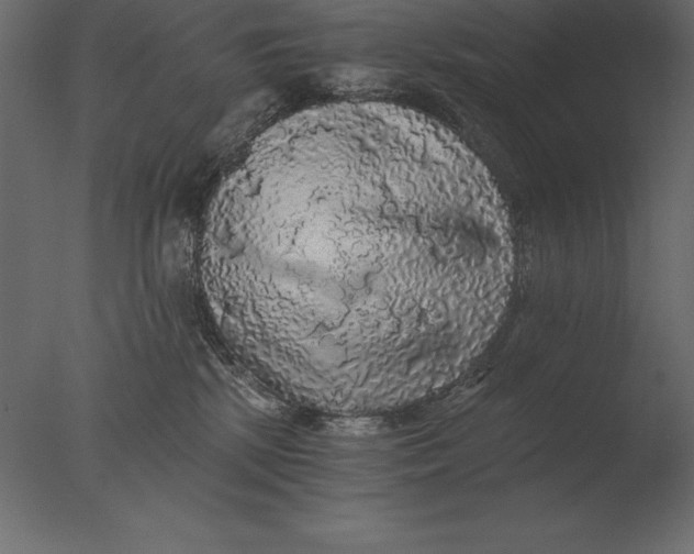 X0000076350281200610201808