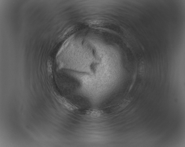 X0000076350282200610201808