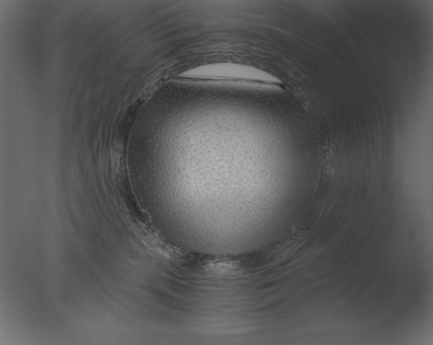 X0000076350283200610201808