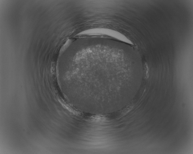 X0000076350284200610201808