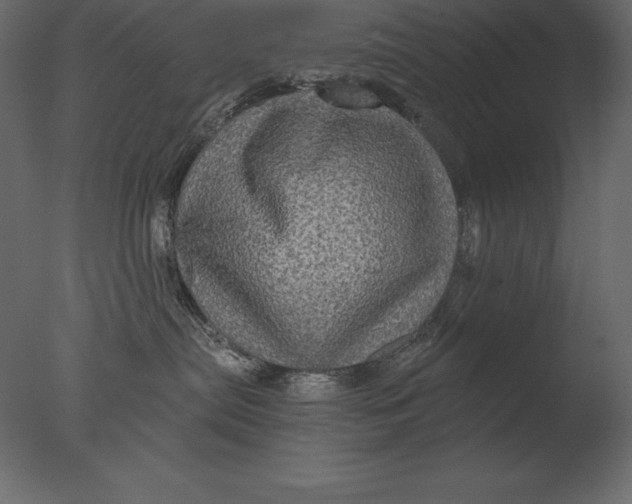 X0000076350287200610201808