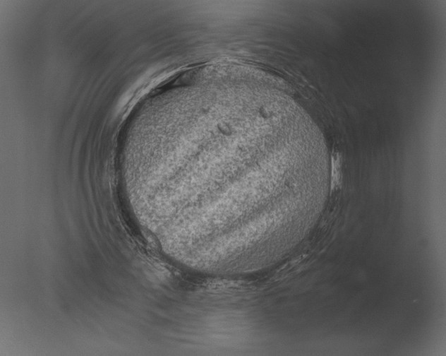 X0000076350291200610201807