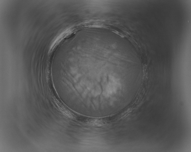 X0000076350293200610201807