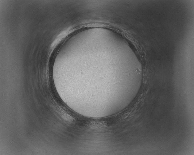 X0000076350296200610201807