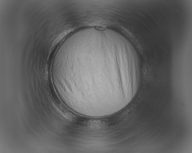 X0000076350298200610201807