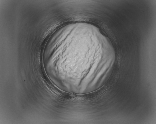 X0000076350299200610201807