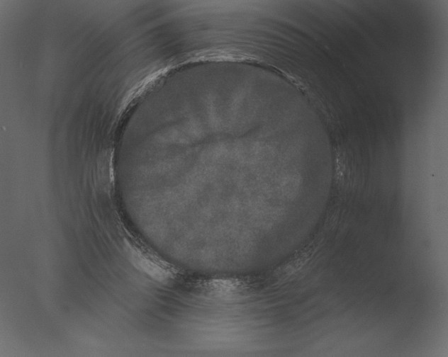 X0000076350302200610201807