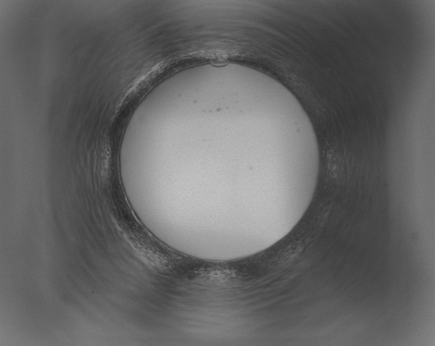 X0000076350304200610201807