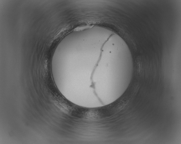 X0000076350308200610201807