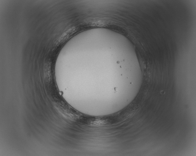 X0000076350312200610201807