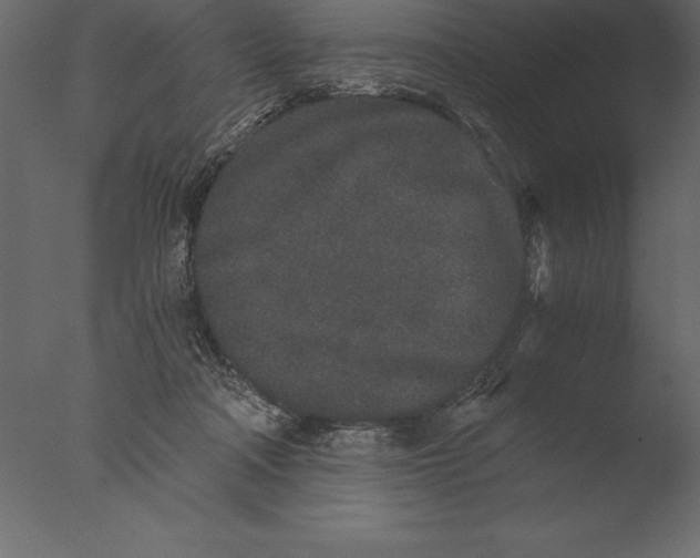 X0000076350314200610201807