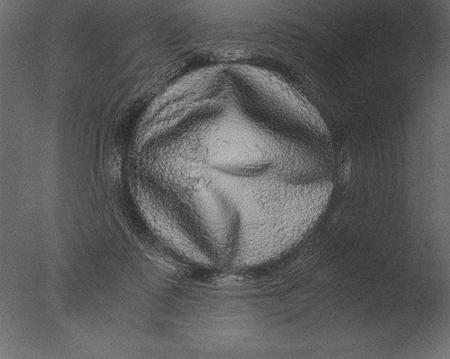 X0000076350315200610201807