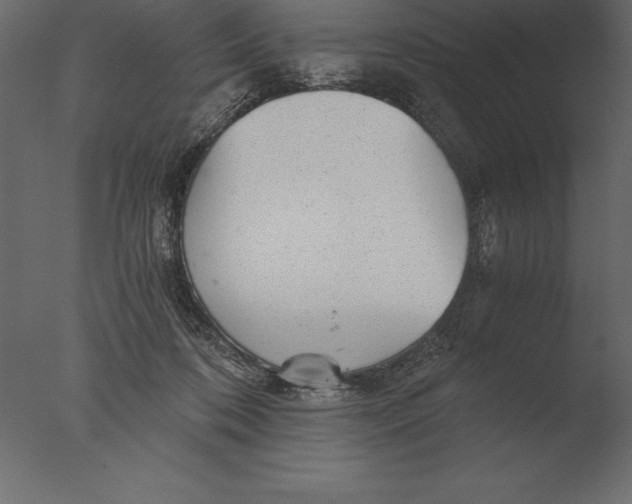 X0000076350316200610201807