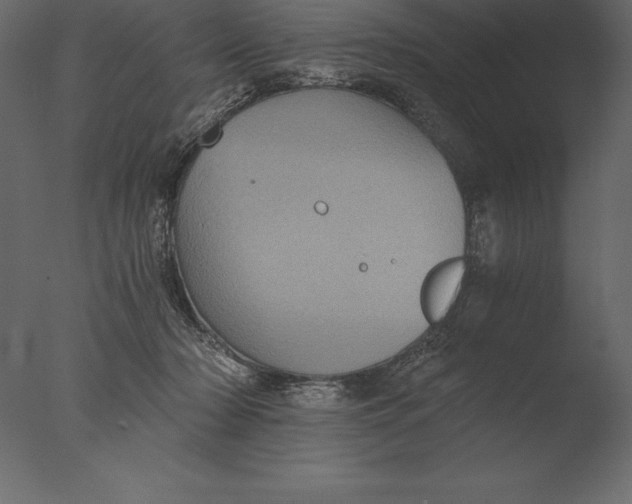 X0000076350318200610201807