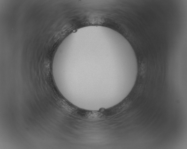 X0000076350321200610201807