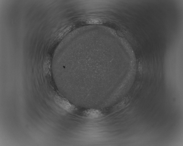 X0000076350322200610201807