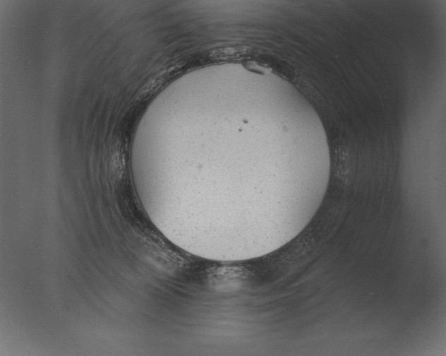 X0000076350324200610201807