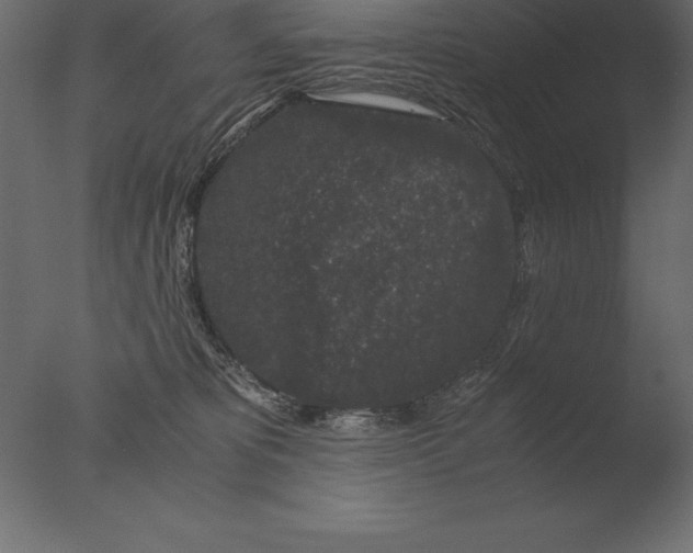 X0000076350325200610201807