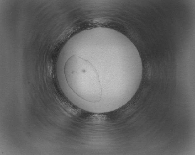 X0000076350328200610201807