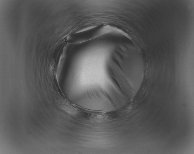 X0000076350329200610201807