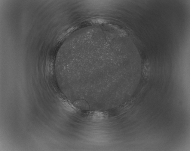 X0000076350330200610201807