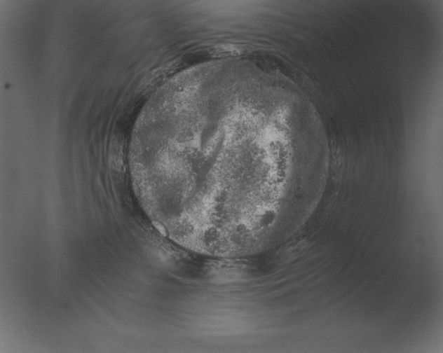 X0000076350331200610201807