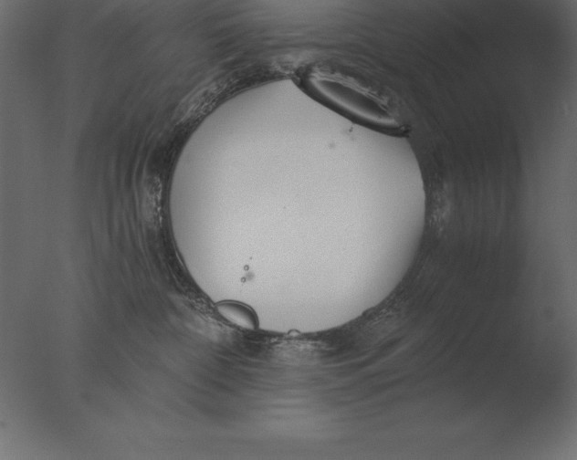 X0000076350332200610201807