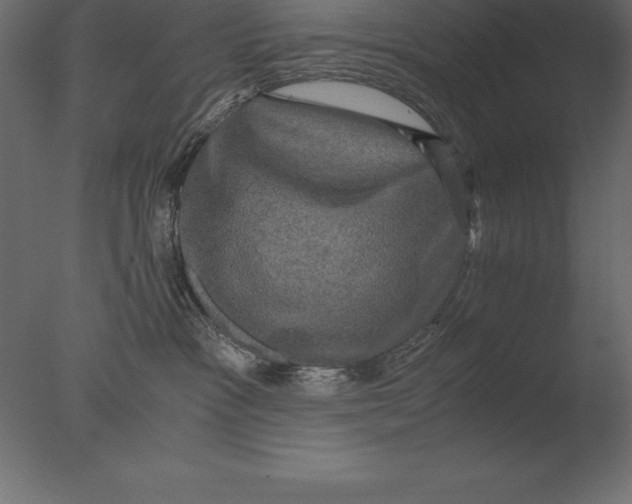 X0000076350333200610201807