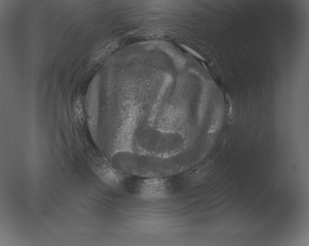 X0000076350335200610201807