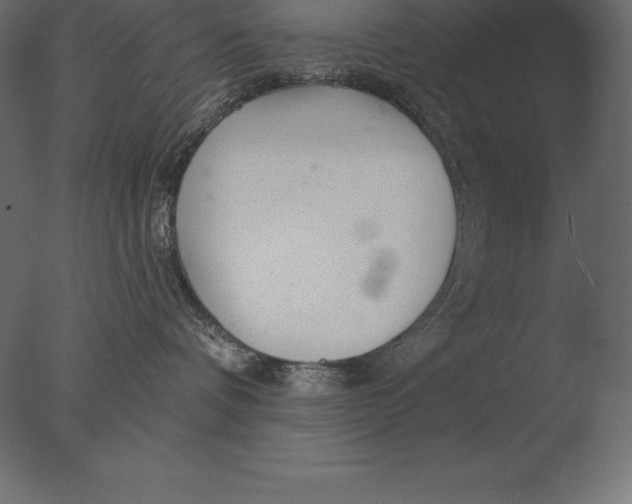 X0000076350336200610201807